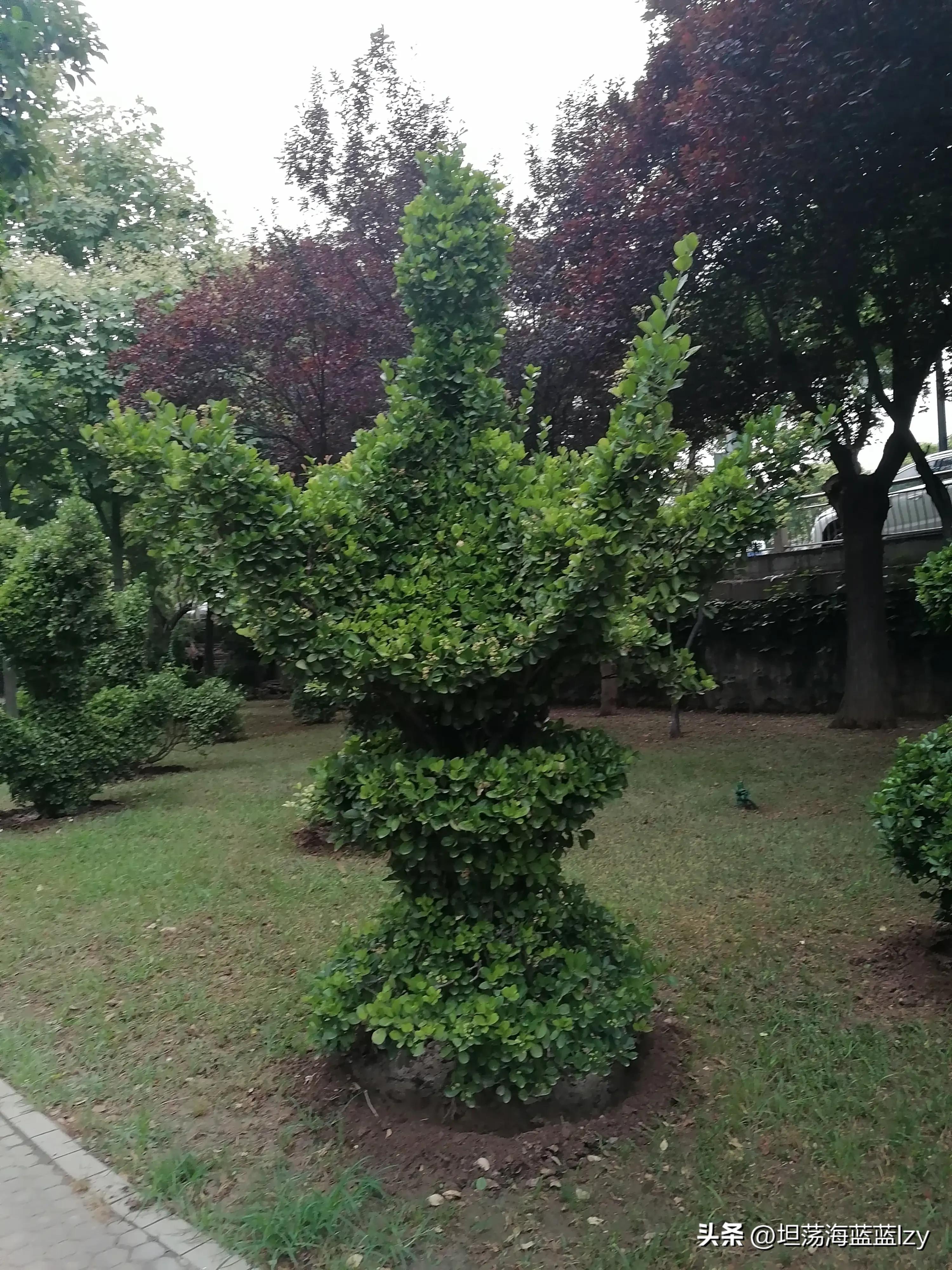 赞美城市美容师图片,怎么赞美一个美容师