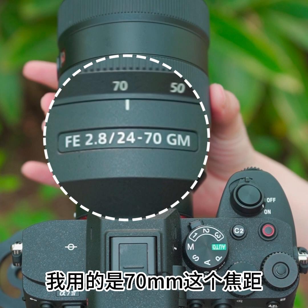 用高级微单单反拍照老是模糊画质不高清一定要看完这个视频...