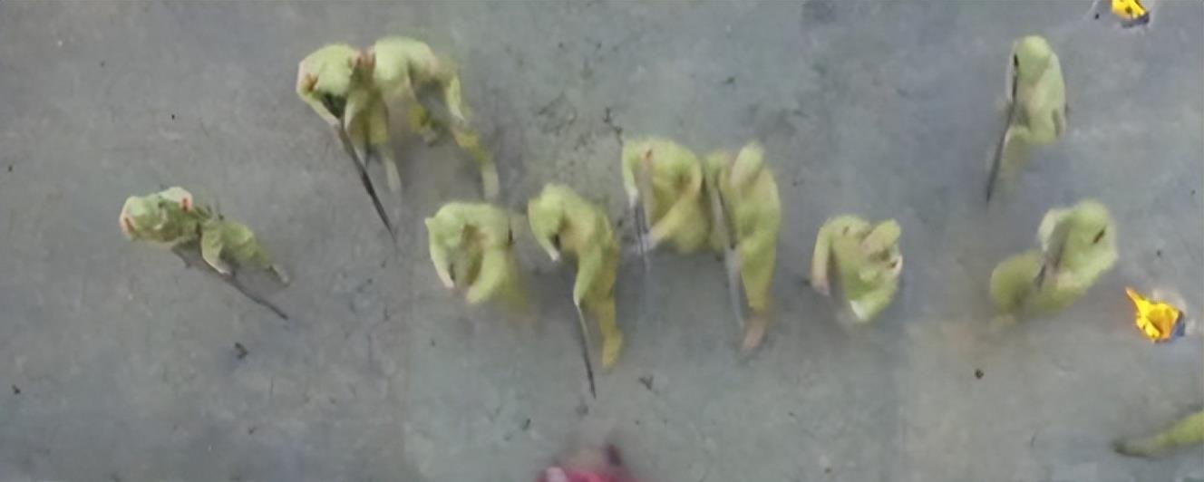 胸罩*点露**，花式泳衣，这些辣眼睛的操作，导演肚子里没一点墨水吗