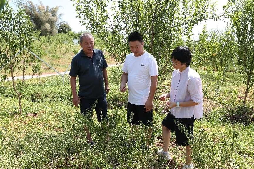 躬耕农村做农业同铸乡村振兴梦——广安区政协委员唐雯雯的创业点滴故事