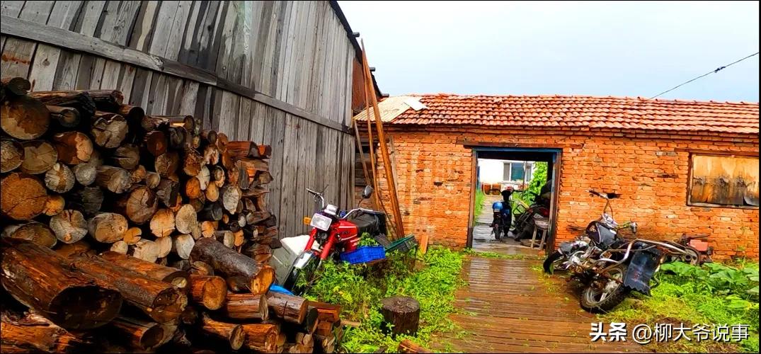 大兴安岭“采山”日赚千元是真的吗？哈尔滨小伙亲自体验结局亮了