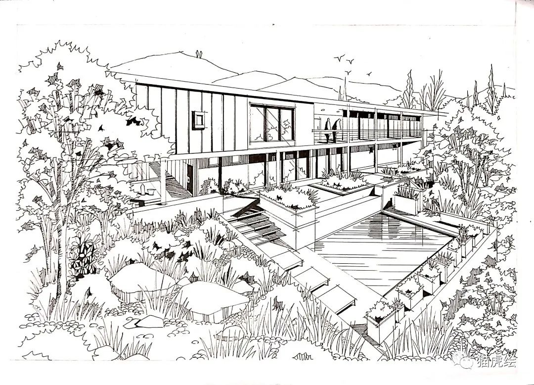 2022猫虎绘暑假手绘班招生简章「线上+线下」