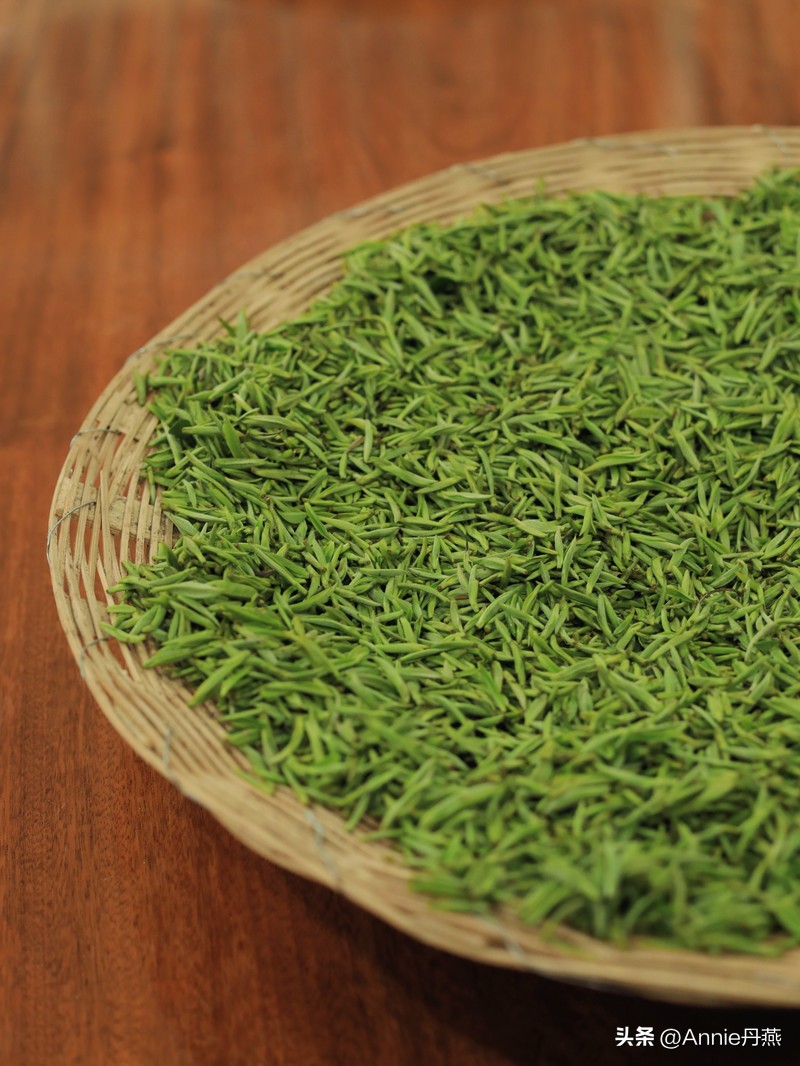 四川万源市旅游攻略,四川达州周边旅游攻略景点必去