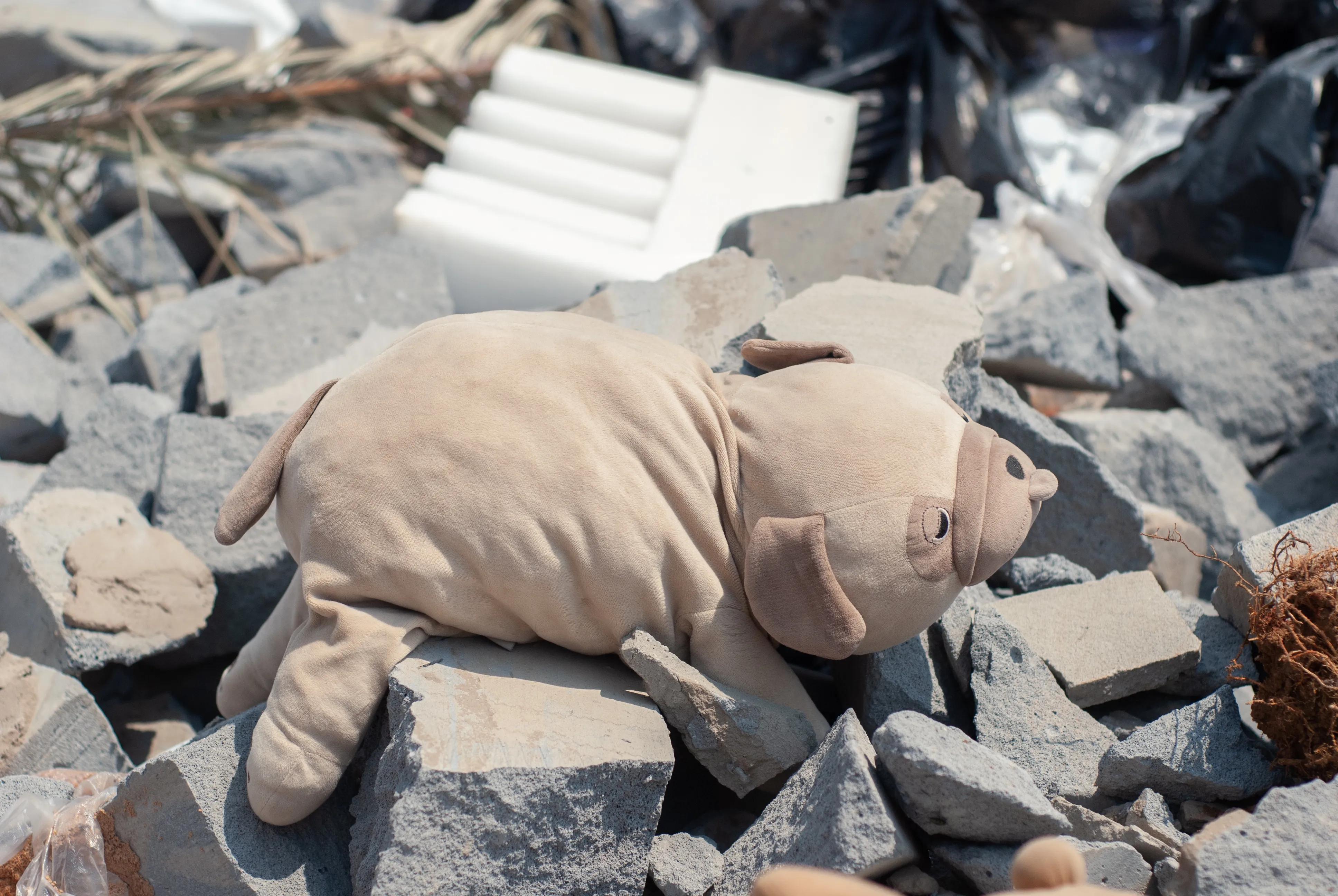 尼康200-500镜头和新款80-400评测,尼康风光最实用的镜头推荐