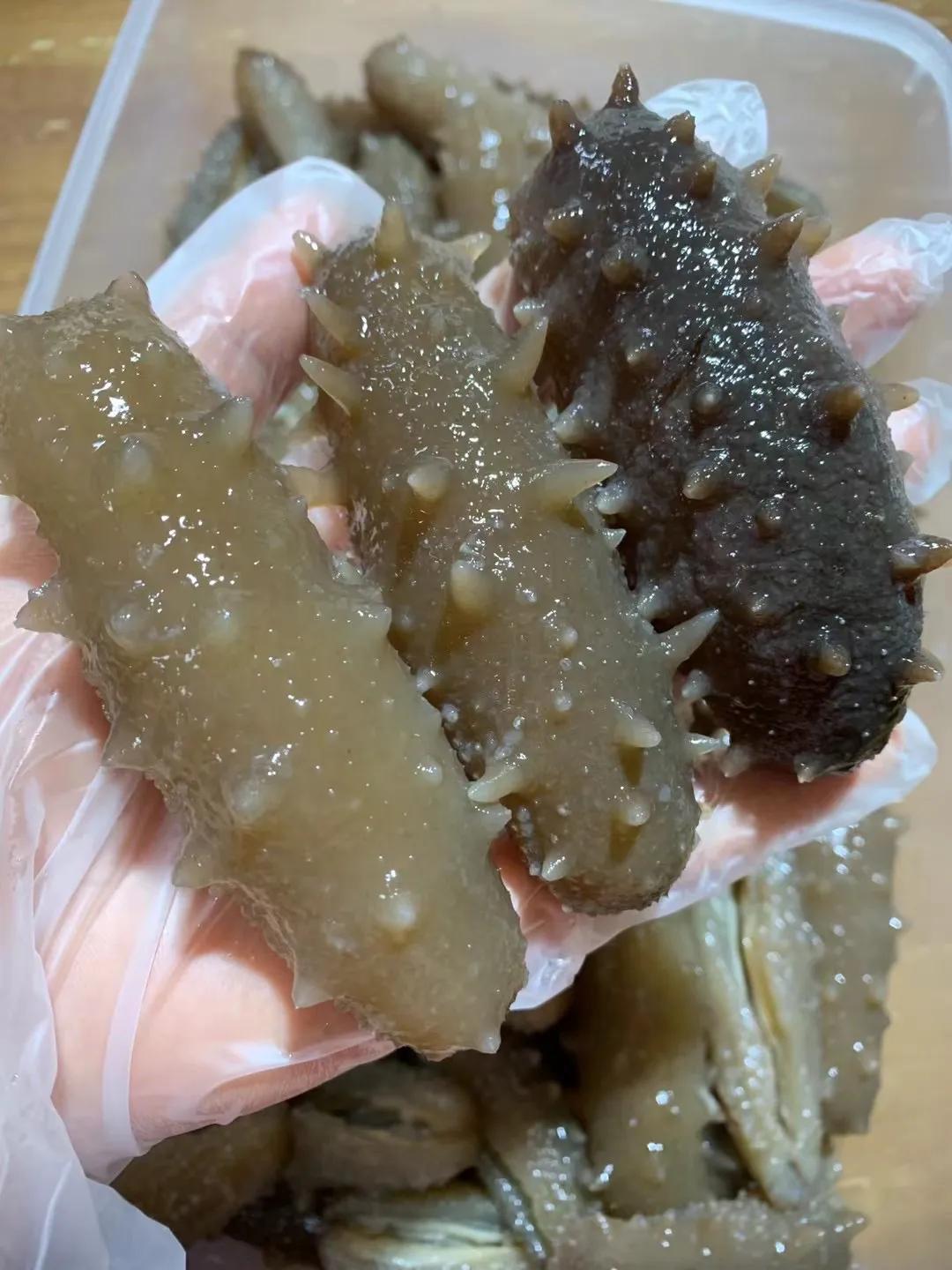 最便宜的海参骗局,便宜海参骗局