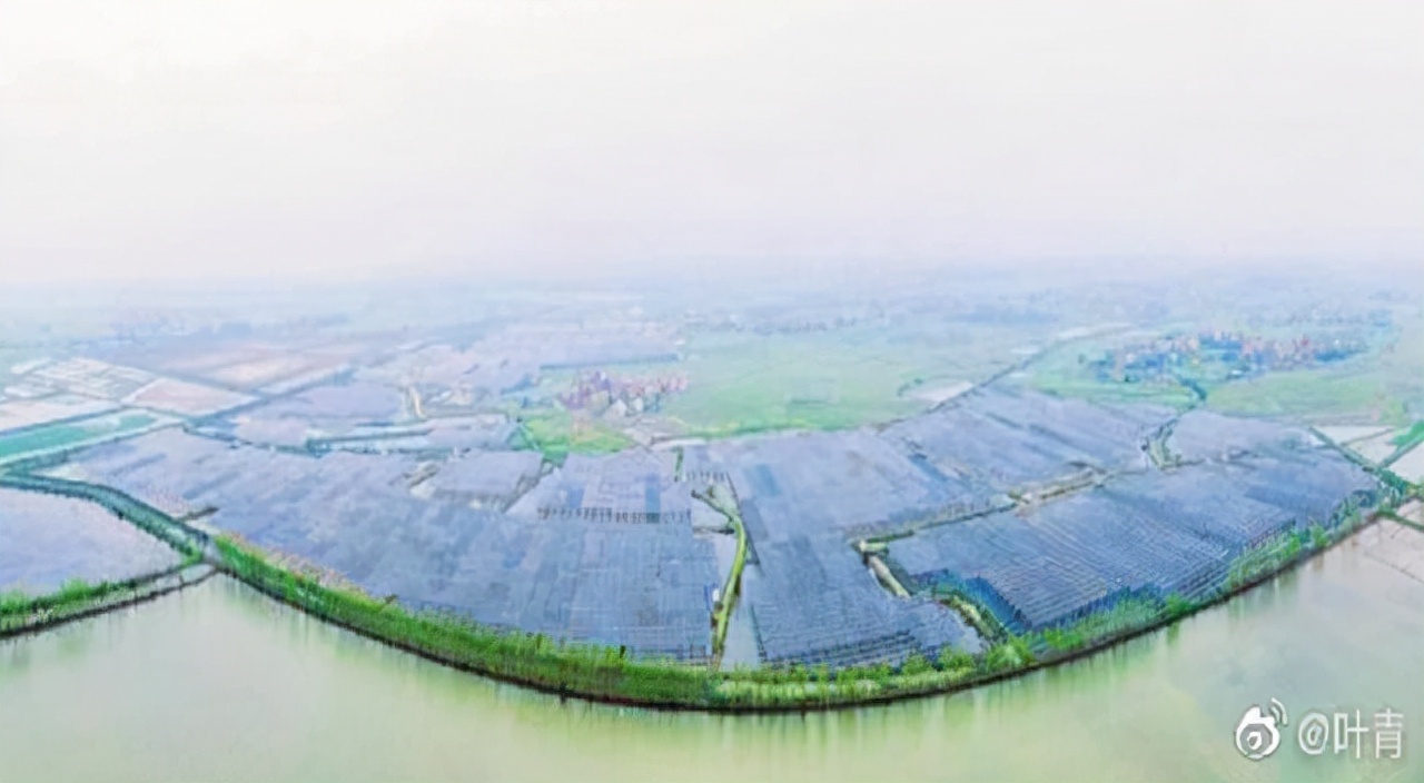 叶青看财经电商,叶青看财经企业家