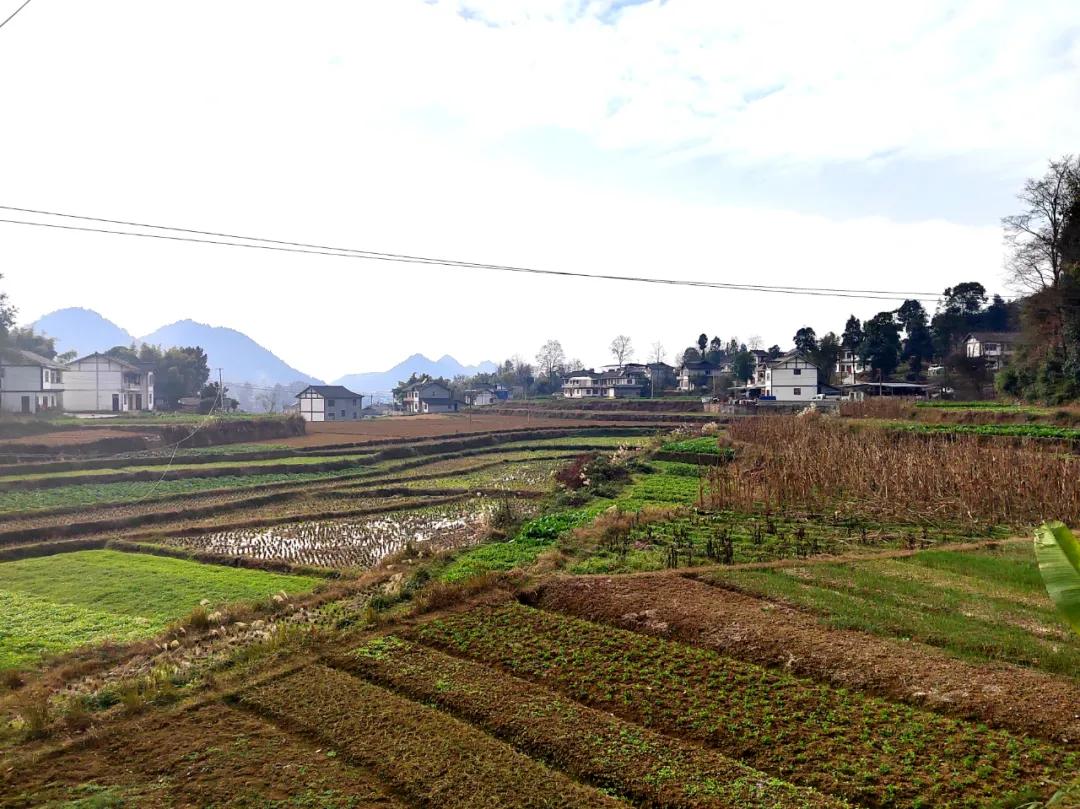 思南刨汤肉,附近美食刨汤肉