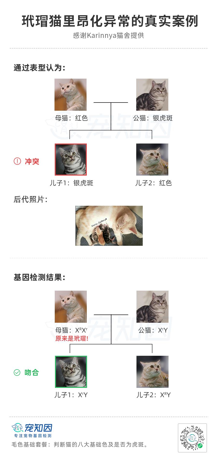 基因克隆最新突破,基因最新突破