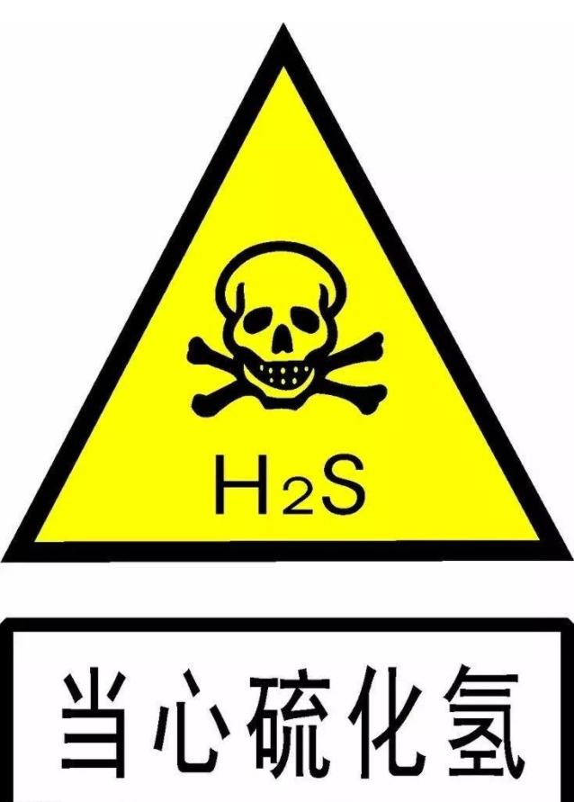电击身亡事件,硫化氢中毒最大事故