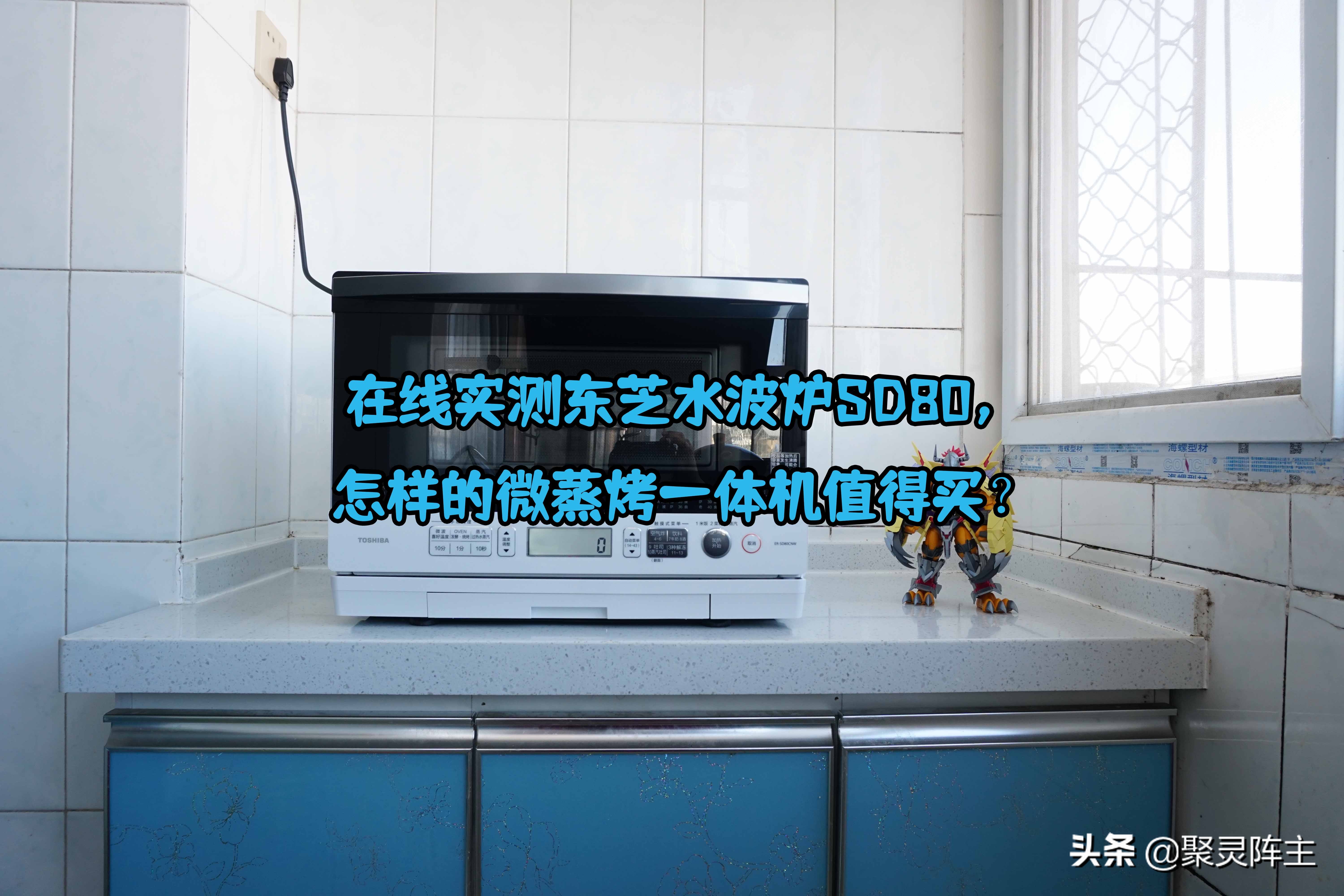 东芝微蒸烤水波炉测评,东芝水波炉全系列比较