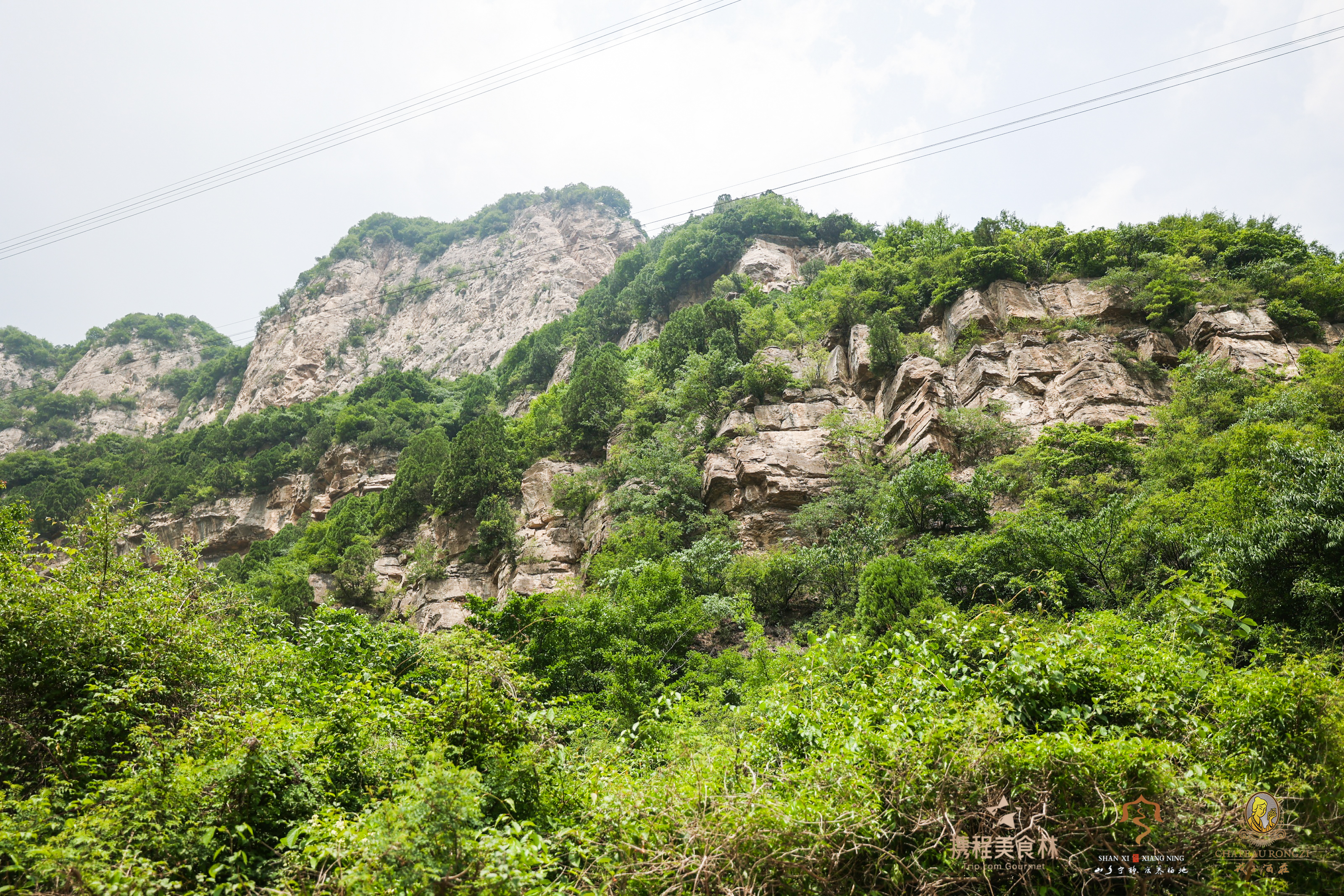 乡宁戎子酒庄门票,乡宁戎子酒庄上下班时间
