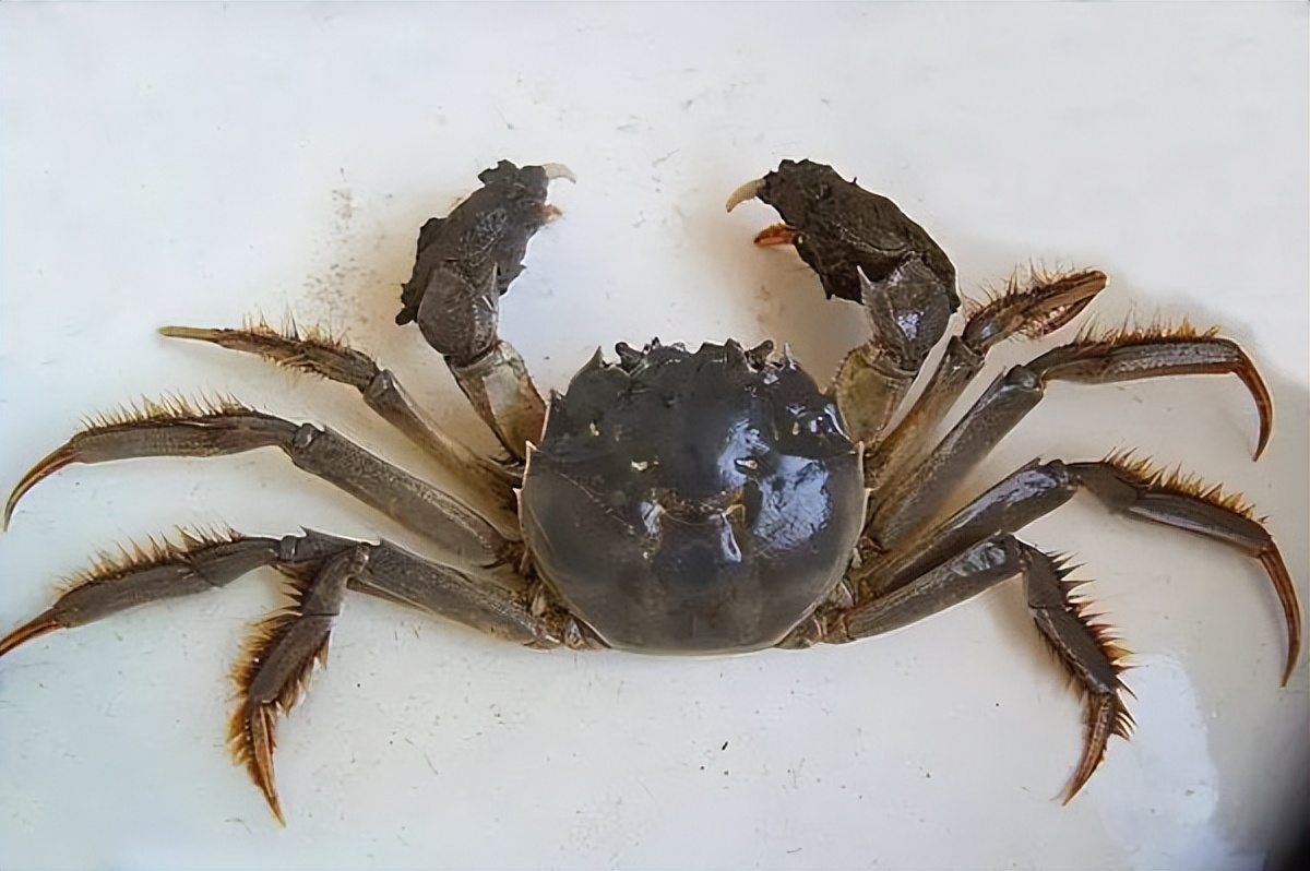 被遗忘的辽宁,被遗弃的共和国长子