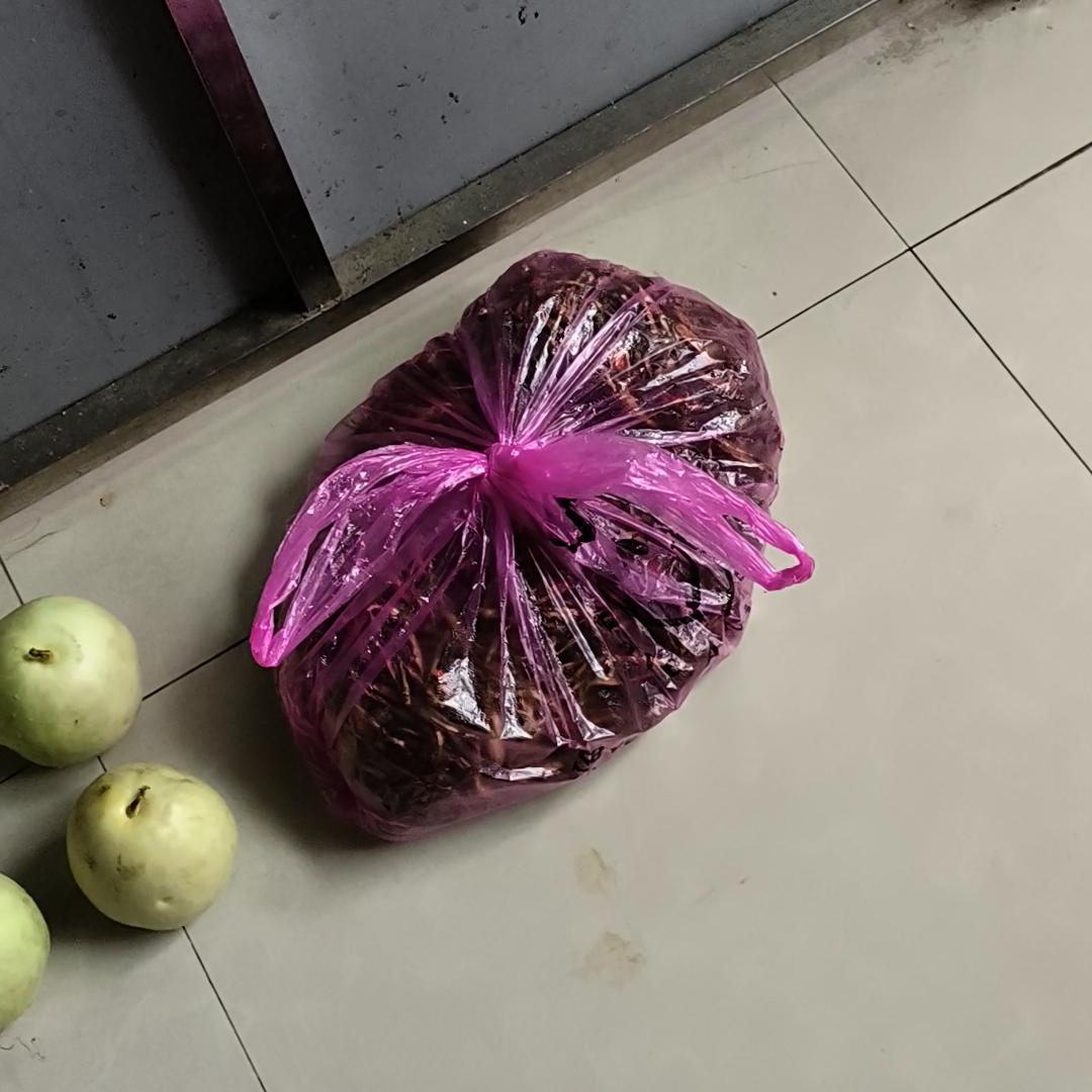 谁知道这是什么蘑菇,谁知道这是什么动漫