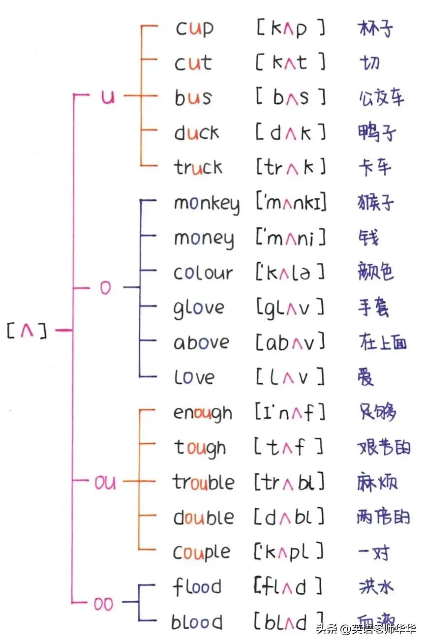 英语自然拼读字母a教学,英语字母a自然拼读教学