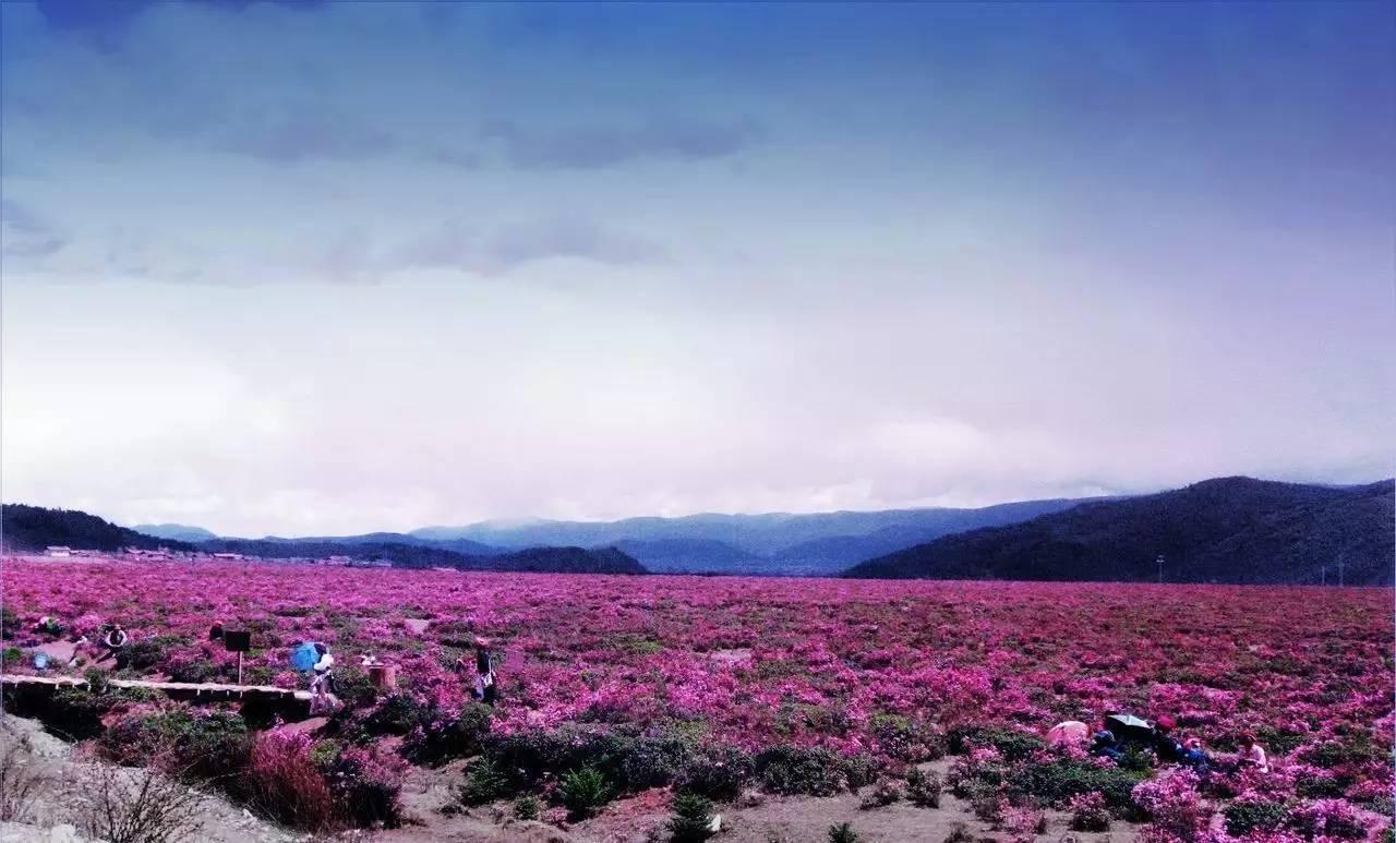 云南旅游景点主要有哪些景区,云南可以玩的旅游景点排名前十大
