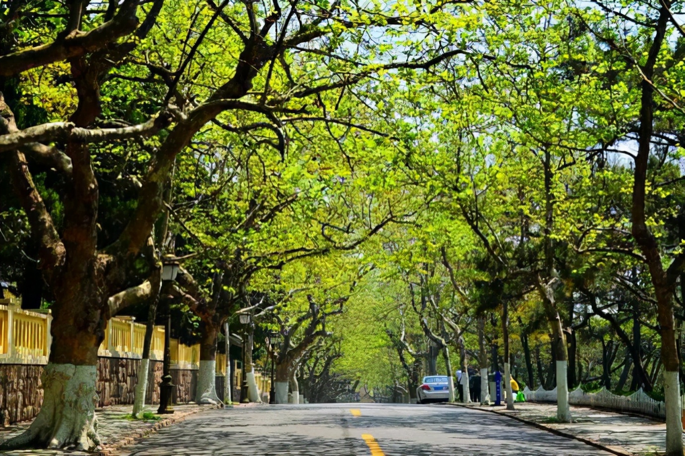 青岛旅游攻略十大景点介绍,青岛旅游攻略必去十大景点示意图