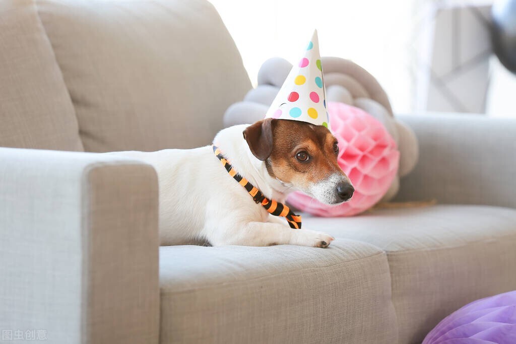 自制生日表可以翻动的,制作生日倒计时表