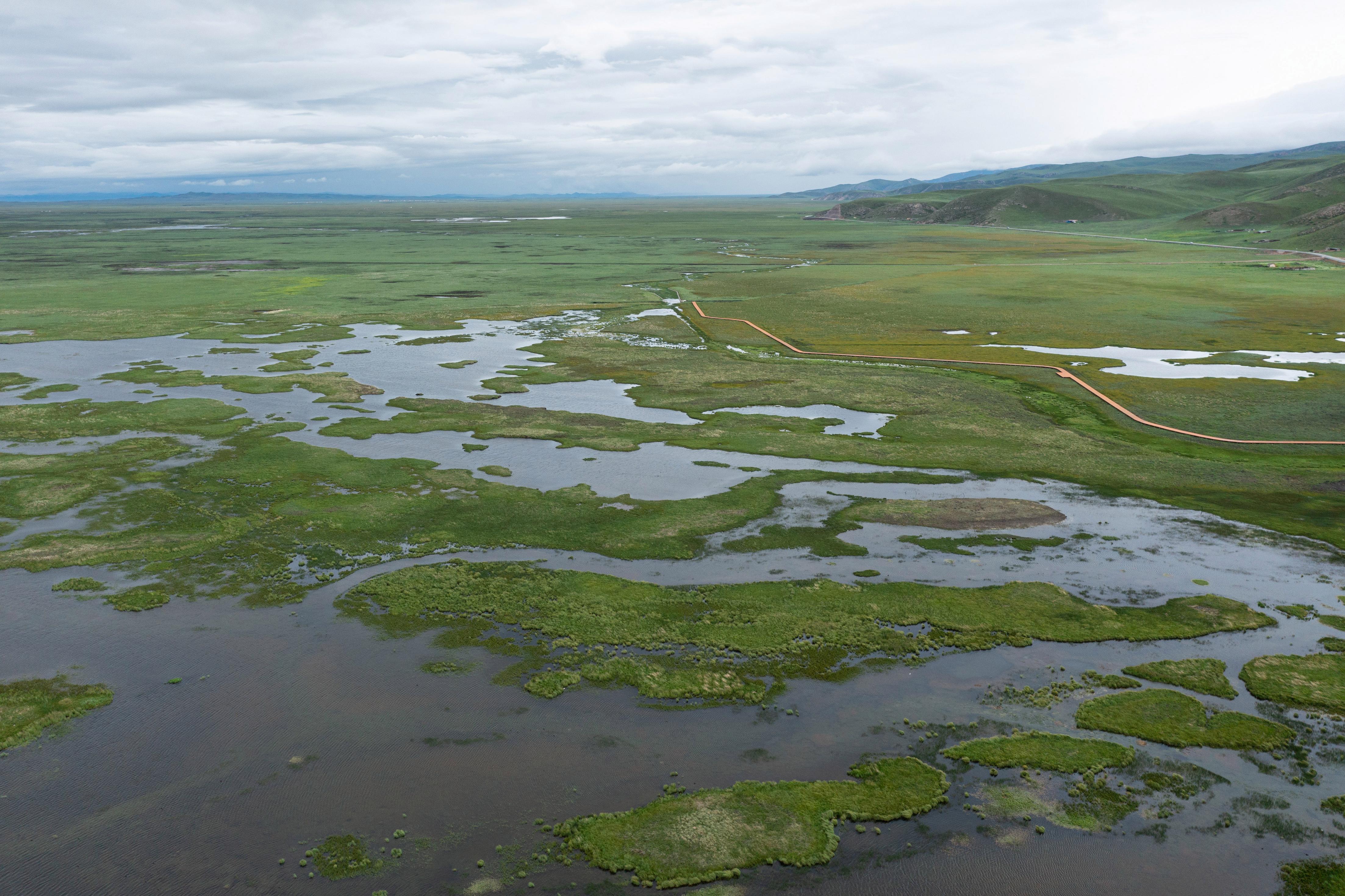 青藏高原上的若尔盖湿地，为什么被称为“最美的高寒湿地草原”？