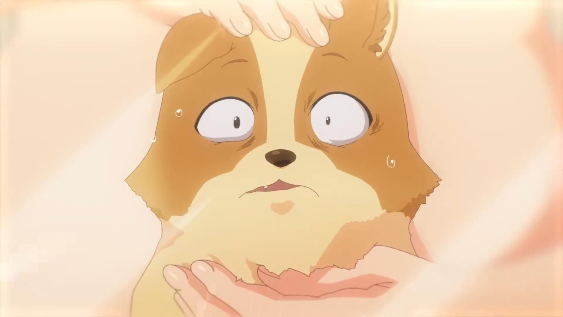 次元漫闻：《电锯人》十月放送！变成狗，与喜欢之人同居生活