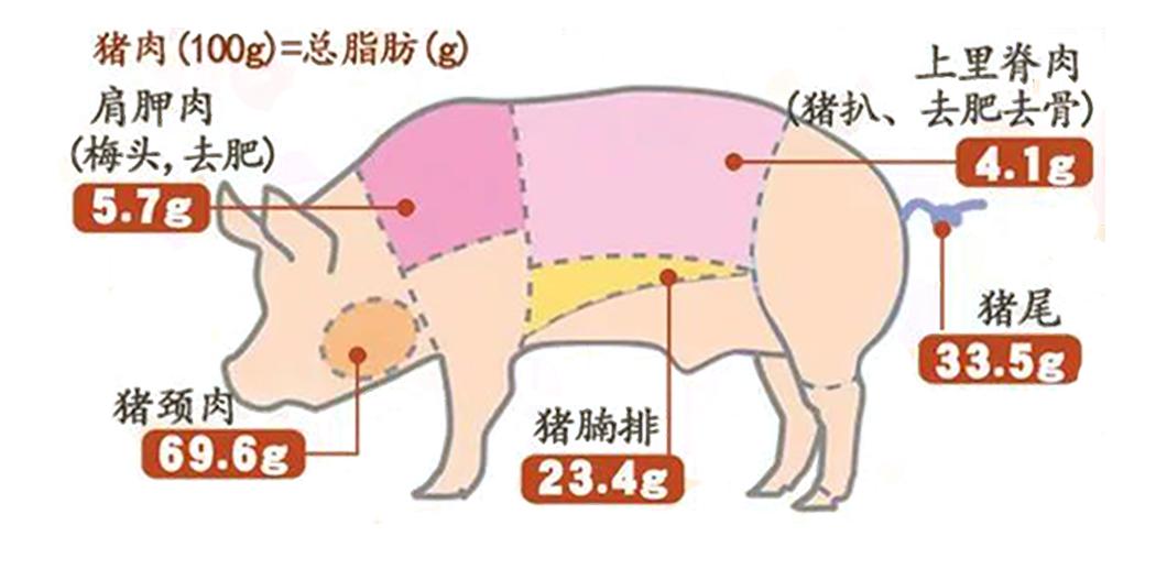 玫斯猫粮为什么是毒猫粮,玫斯全猫粮和幼猫粮