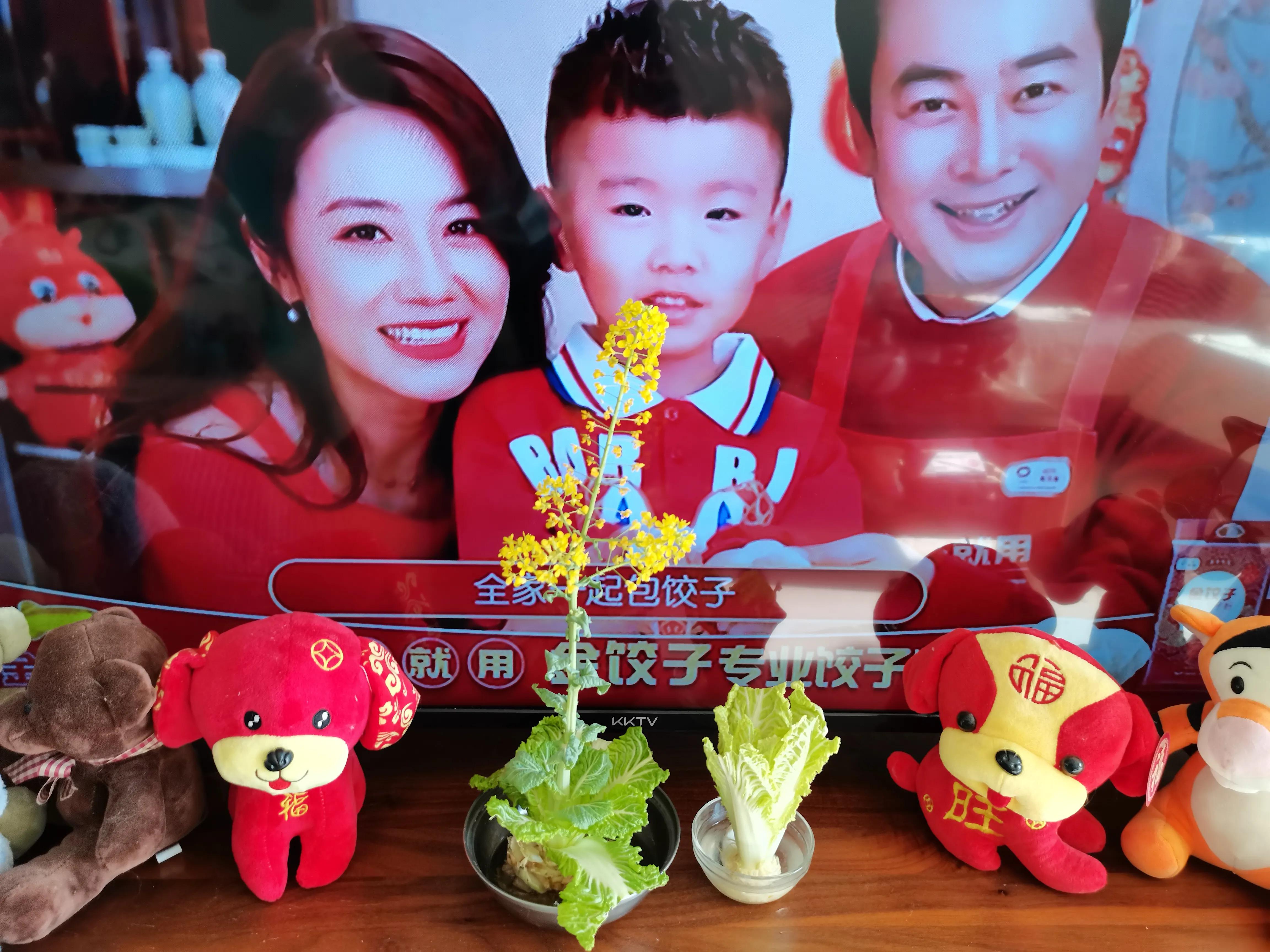 迎春诗句原创五绝,赞美迎春七律诗