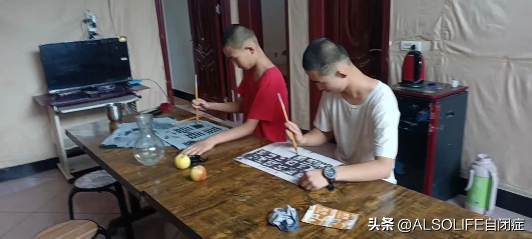 大龄自闭症托养机构大约要多少钱,大龄自闭症托养康复就业