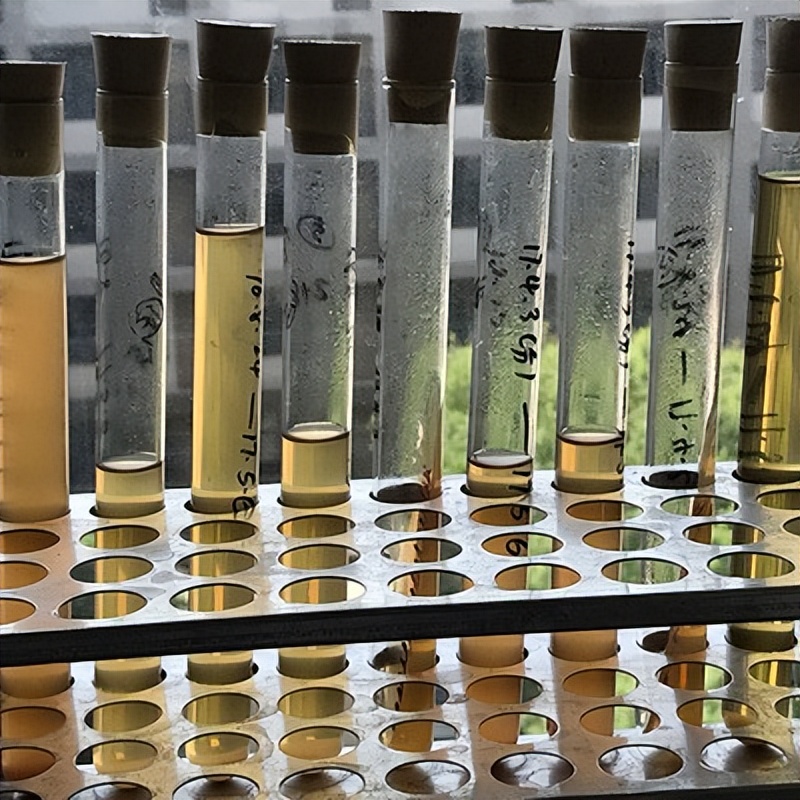 仔猪大肠杆菌性腹泻的防治