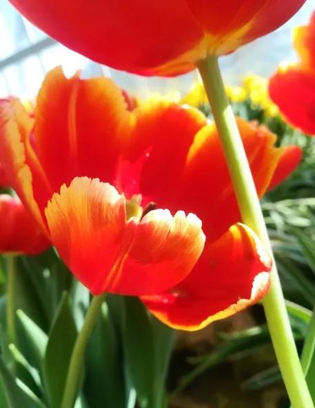 越南芽庄5晚6天观光游 (越南越美醉美芽庄5天品质之旅)