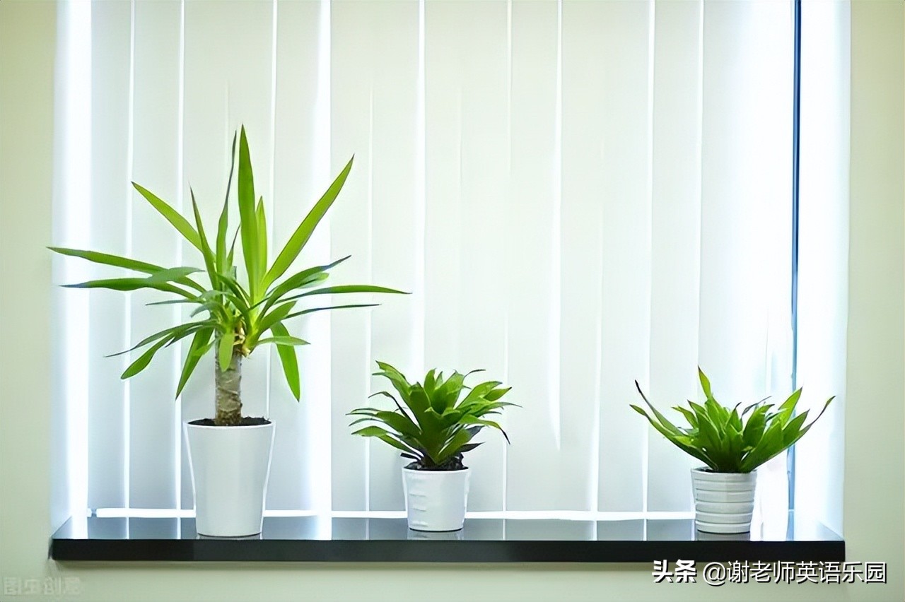 小升初英语专项复习2.2——名词的分类和所有格