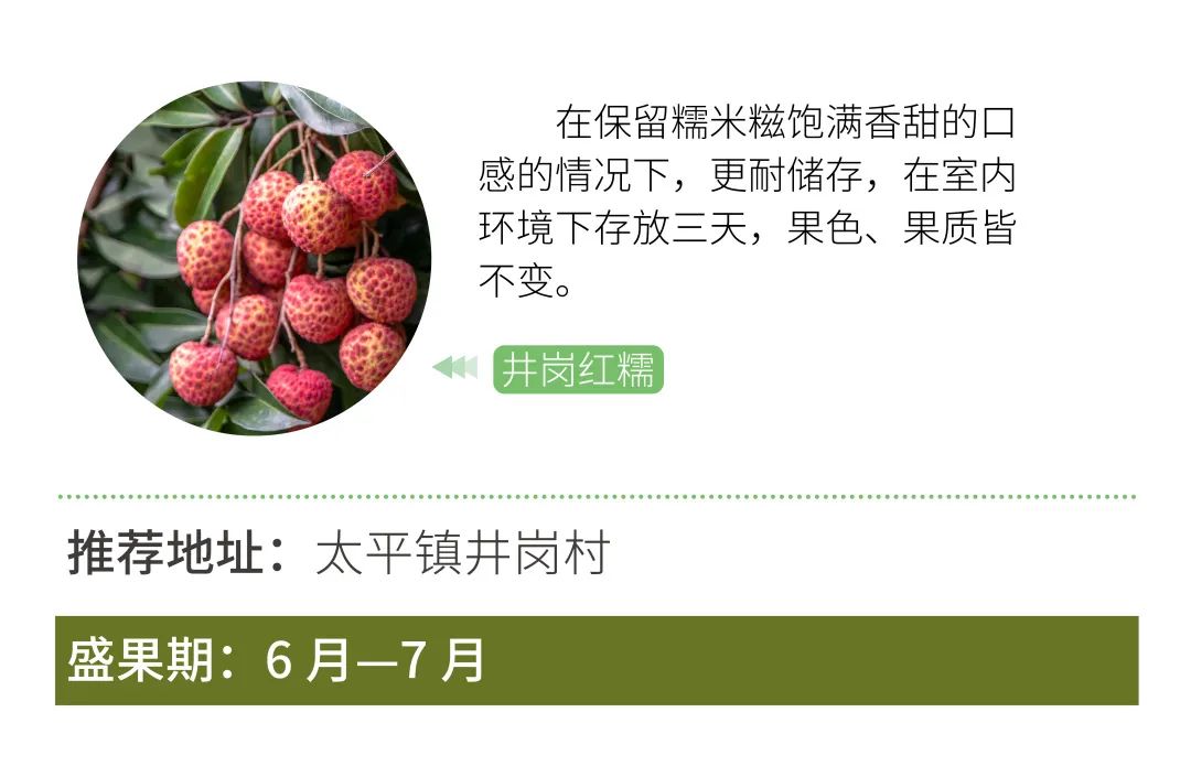 从化摘果攻略,从化摘水果攻略