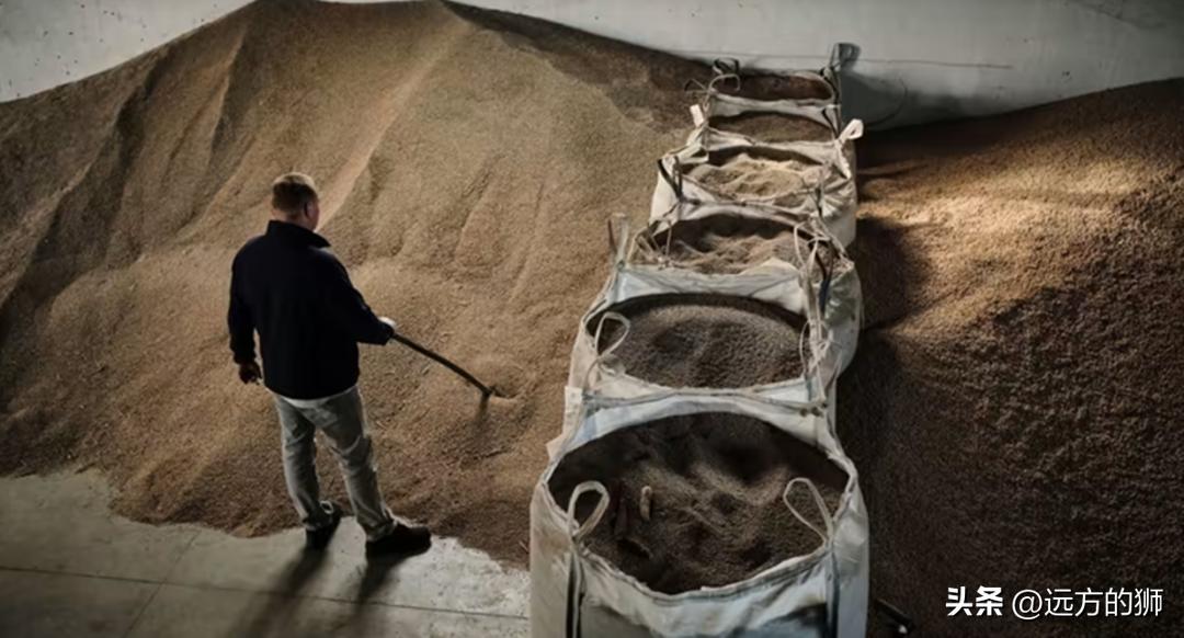 为什么欧盟要禁止乌克兰出口粮食,欧盟帮助乌克兰恢复粮食出口