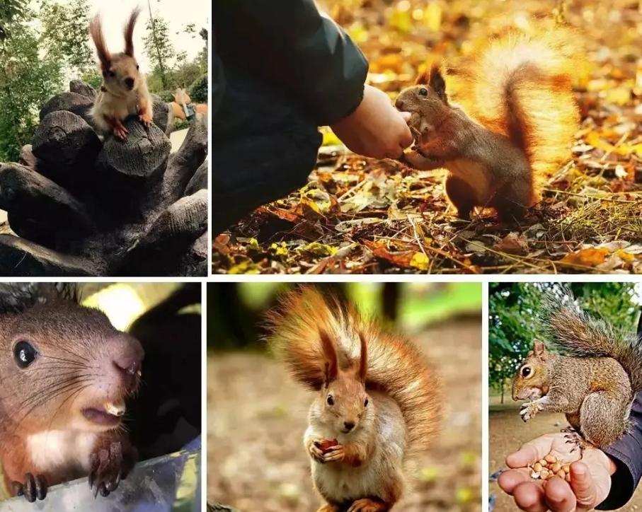 300亩主题农场,300亩农场年入千万