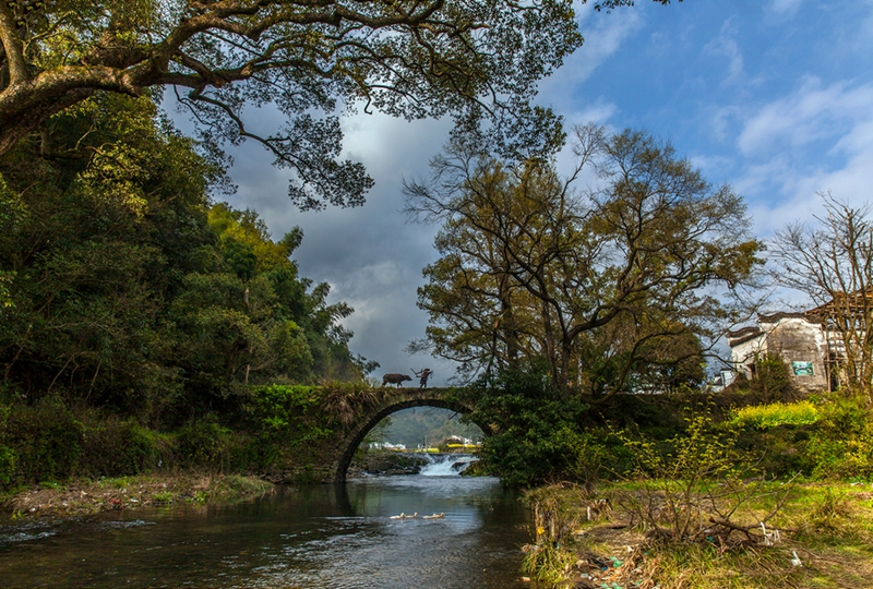 婺源摄影写真,2019梦幻之秋婺源三天摄影创作团