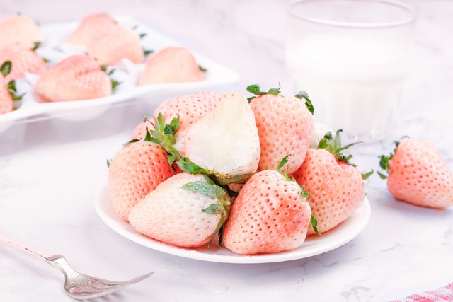 莓果色推荐 (小蓝莓值得购买吗)