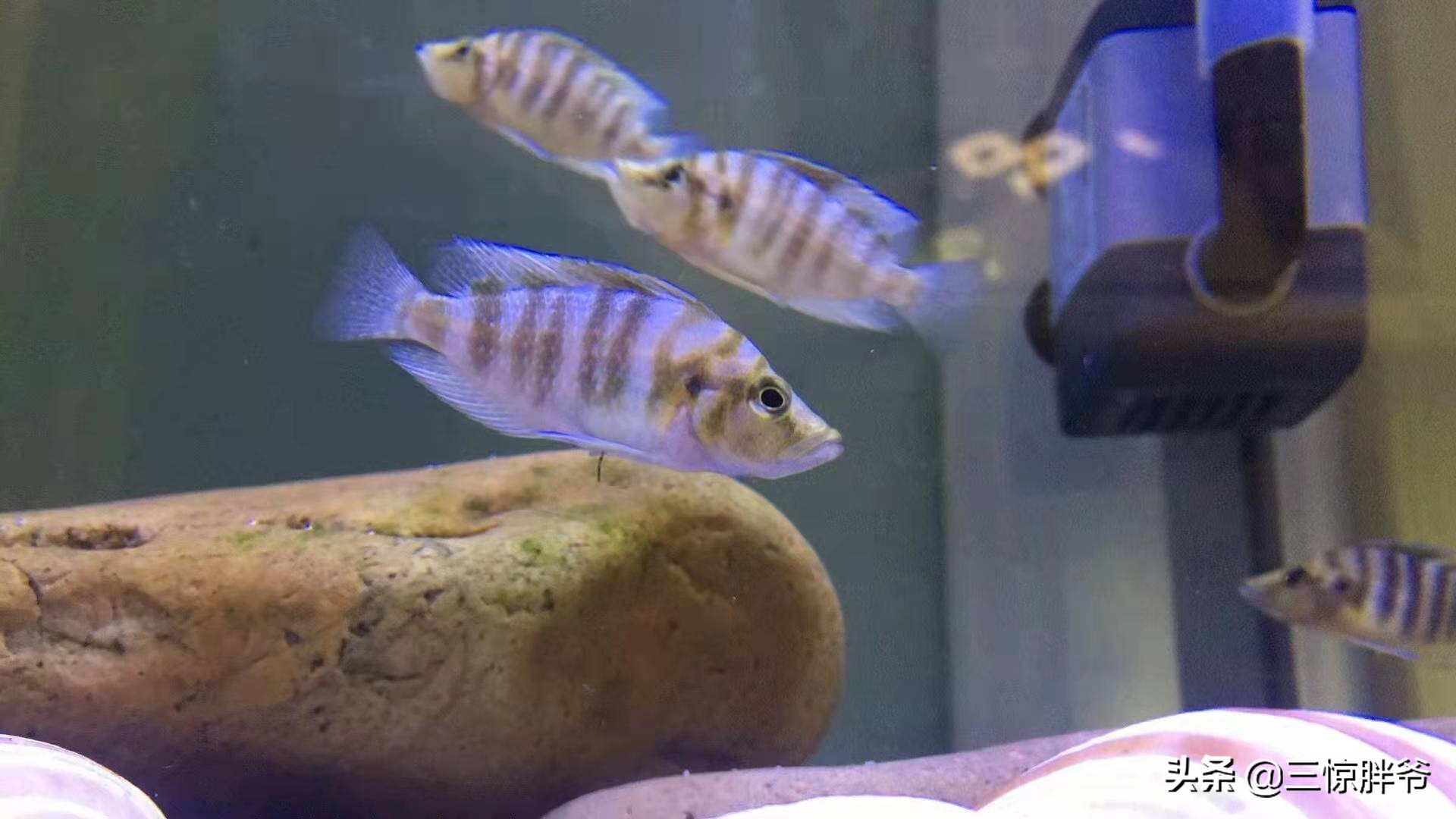 青岛往事中的德国人,08年青岛海尔打工回忆