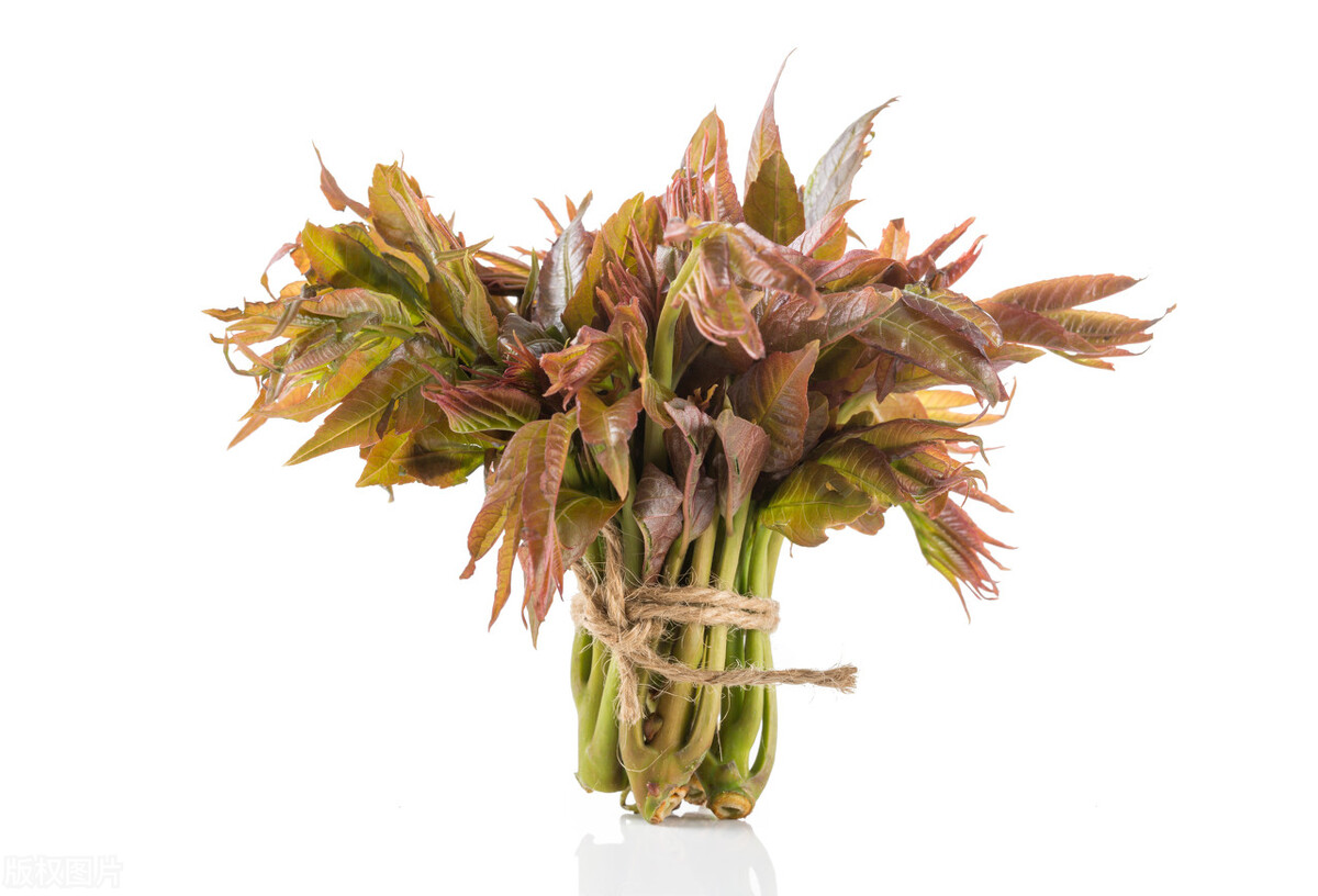 农村土地种什么赚钱,全国农村闲散土地有多少