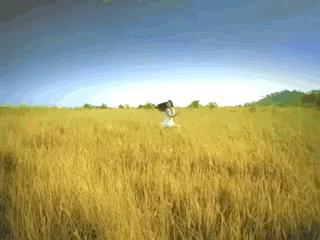 跑步机和家用跑步机的差别,跑步机好还是普通跑步机好