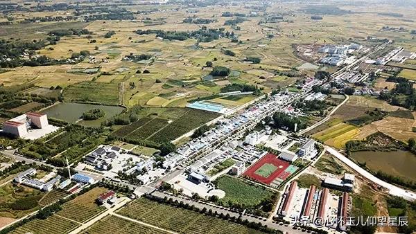 大寨和小岗哪个是典型,大寨与小岗村的实际发展情况