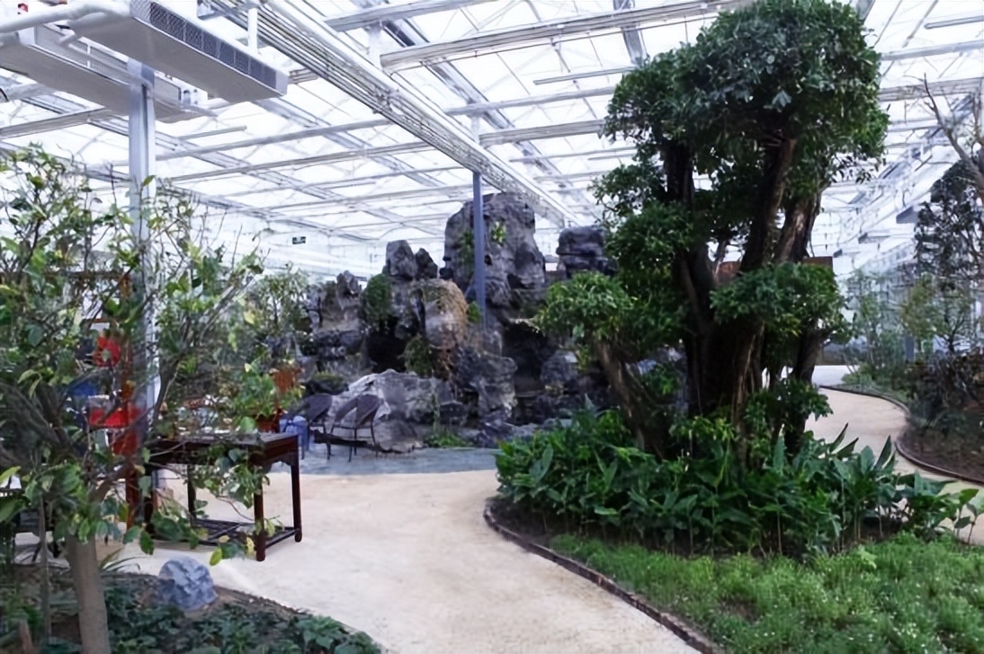 春华秋实农博园摘油桃,春华秋实农博园草莓采摘