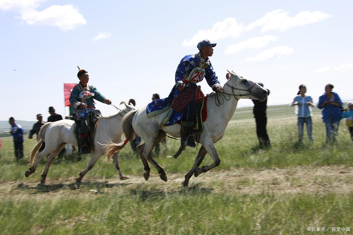 全网最全素材建议收藏,中国白酒最完整汇总