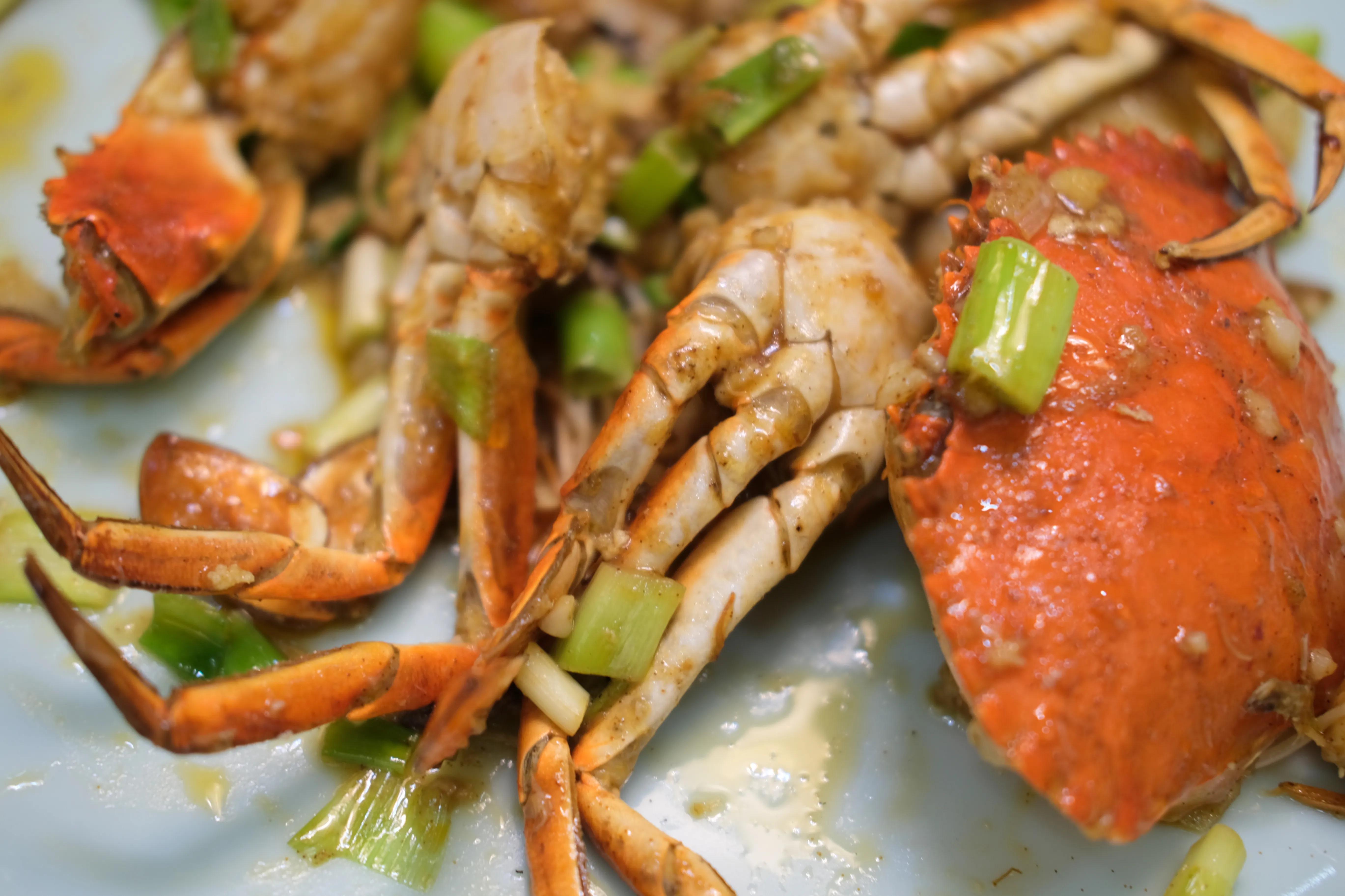 顺德杏坛农庄美食,世界美食之都顺德视频