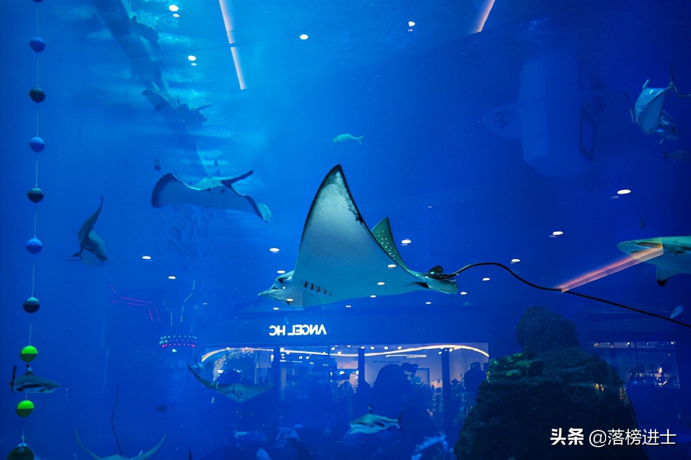 成都浩海立方的海洋馆游玩攻略,浩海立方成都海洋馆世界之最