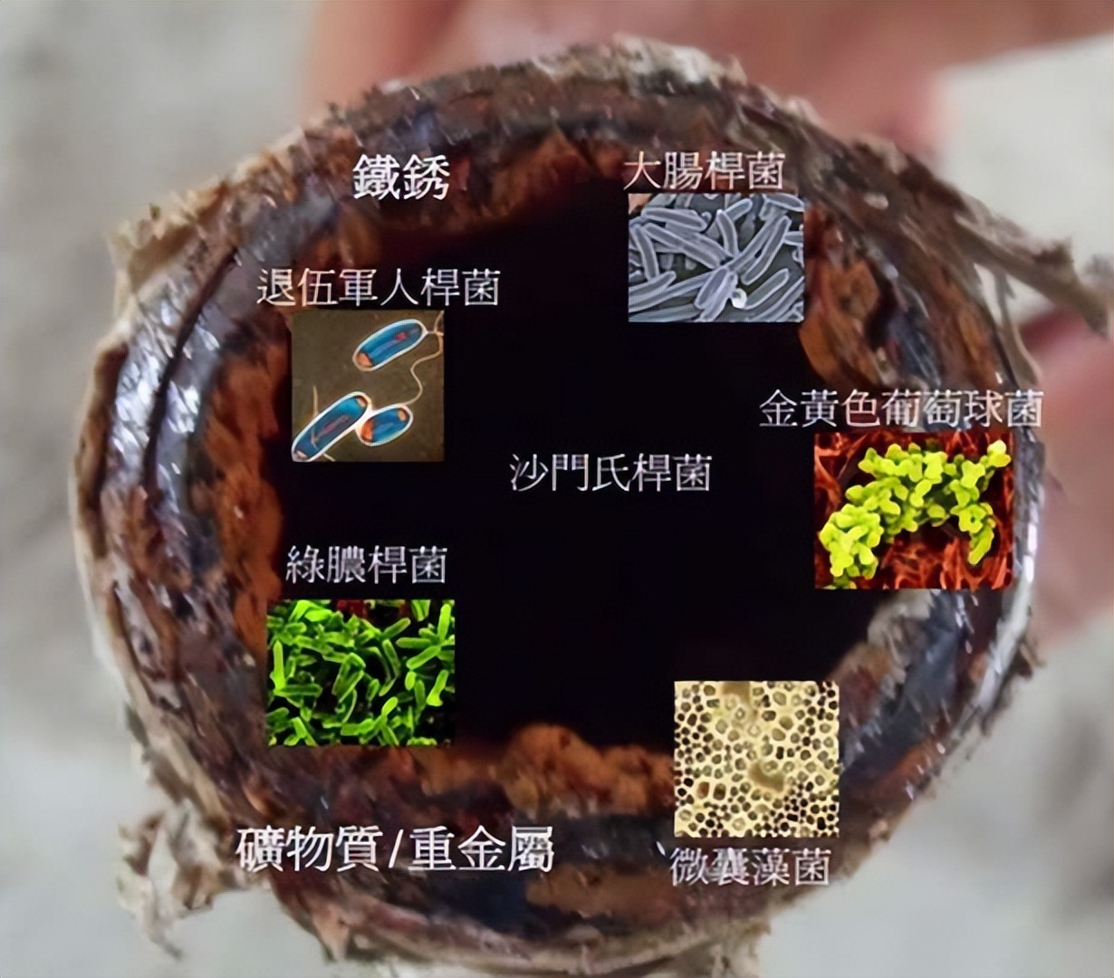 爱喝茶选哪款净水器,什么牌净水机沏茶好喝