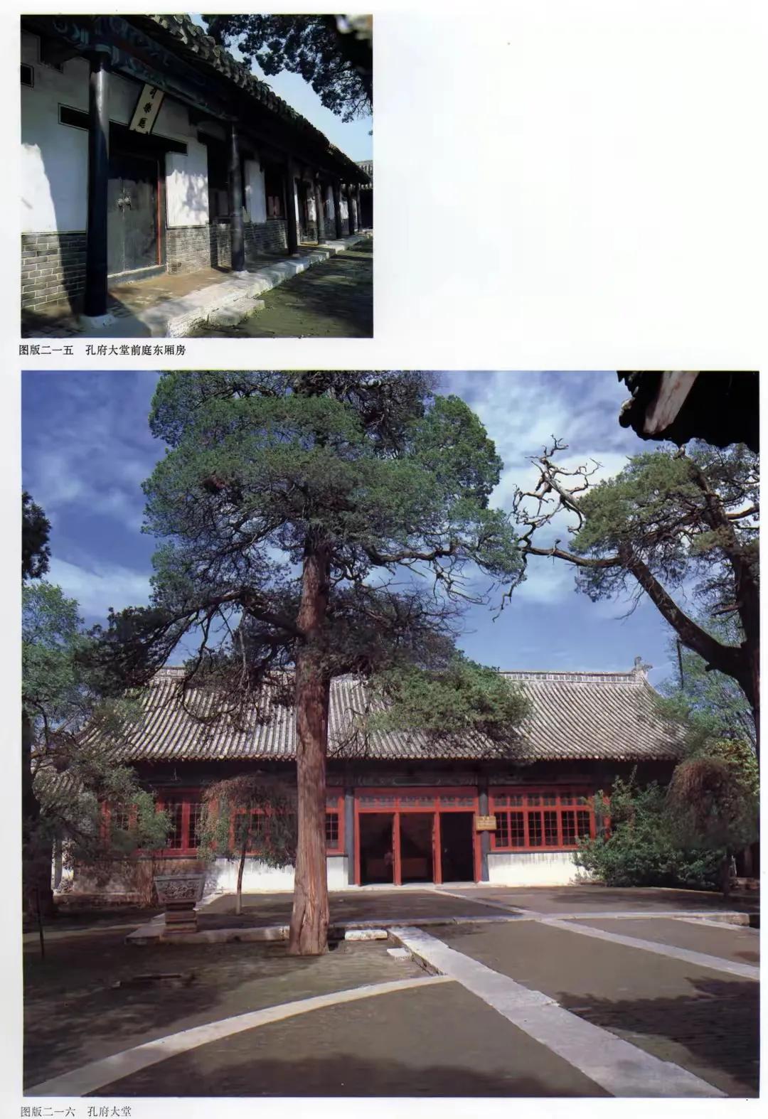 曲阜三孔纪行（作者：刘长玉）