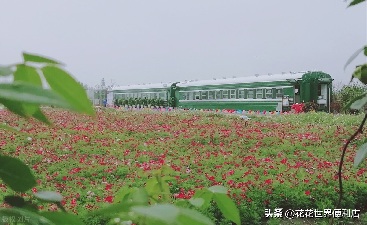 浙江湖州:景美人善不宰客,很多人都忽略了它