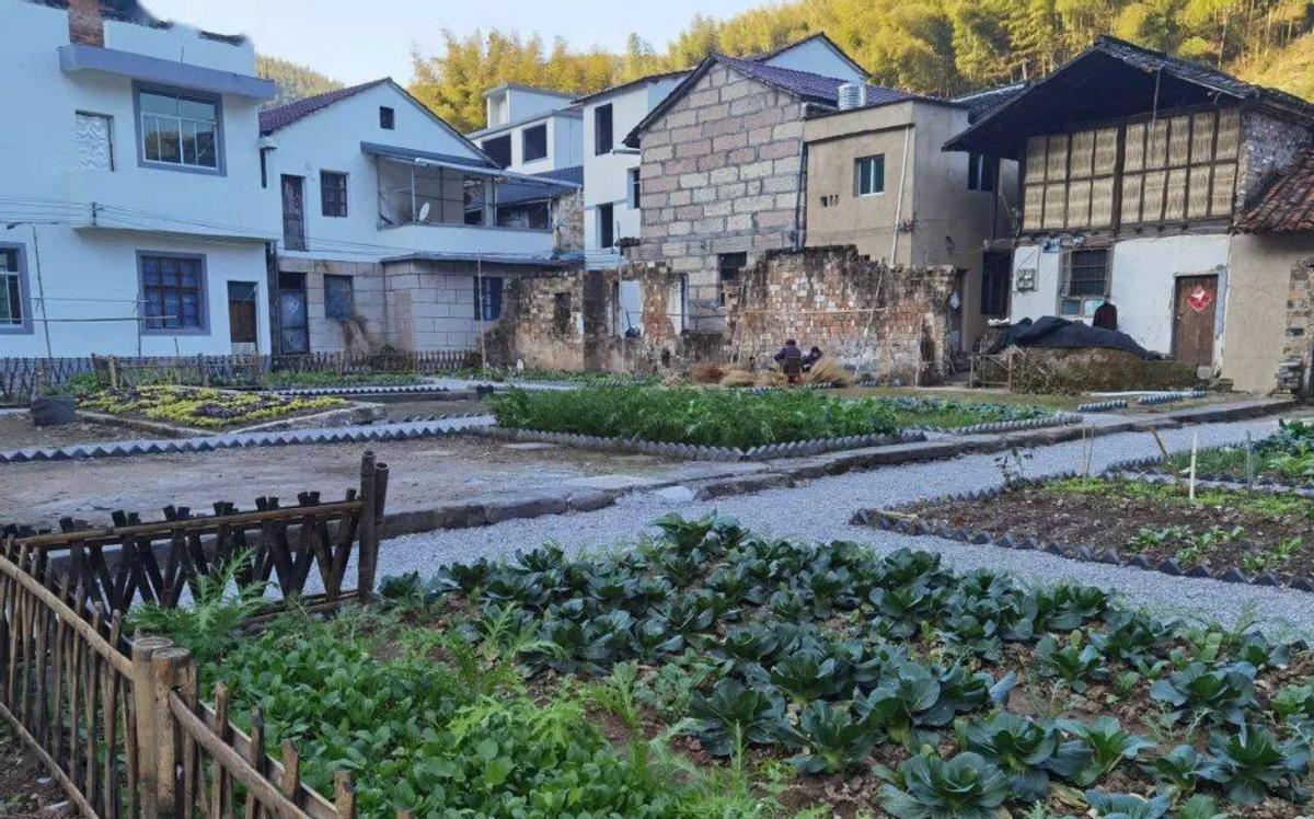 家里有三象预示什么,俗语家中有三象