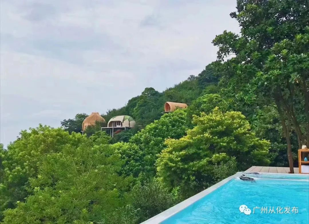 新春攻略生肖派对,新年怎么玩好玩