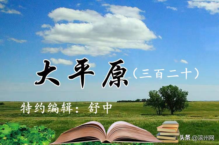 平原古城的历史背景和基本现状,华北平原历史古城