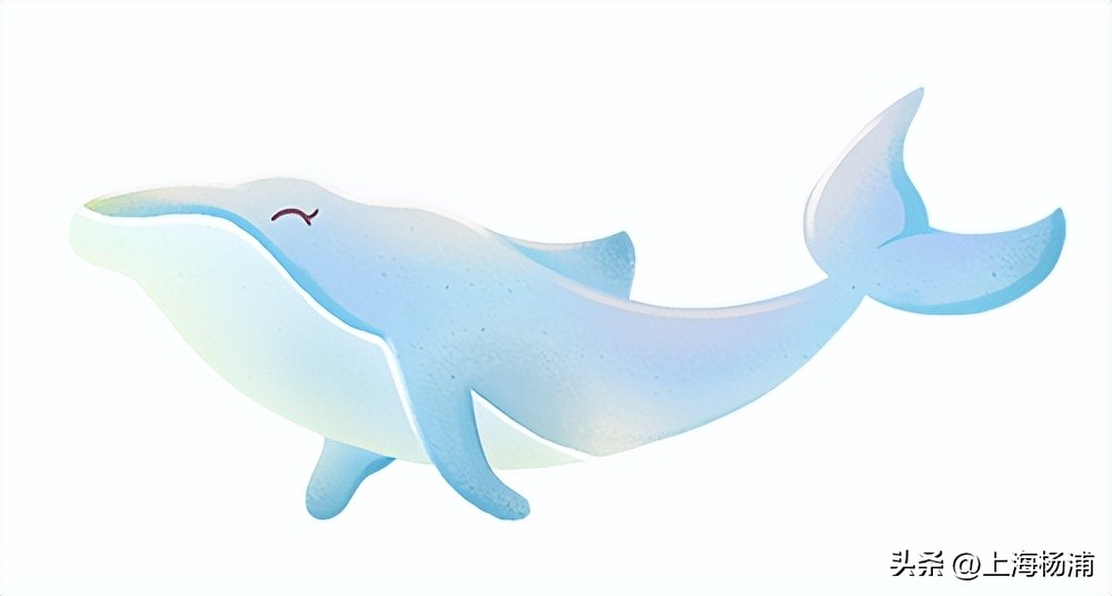 海洋日活动入口,世界海洋日保护蔚蓝的家园