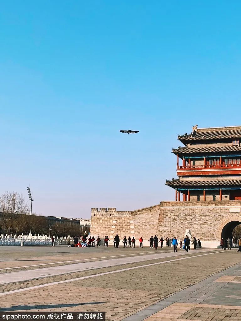 不负春光解锁春日美景打卡点,不负春光解锁春日美景攻略